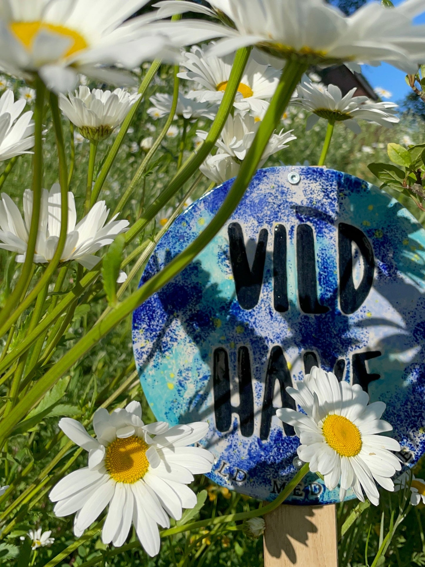 Vild Have #1