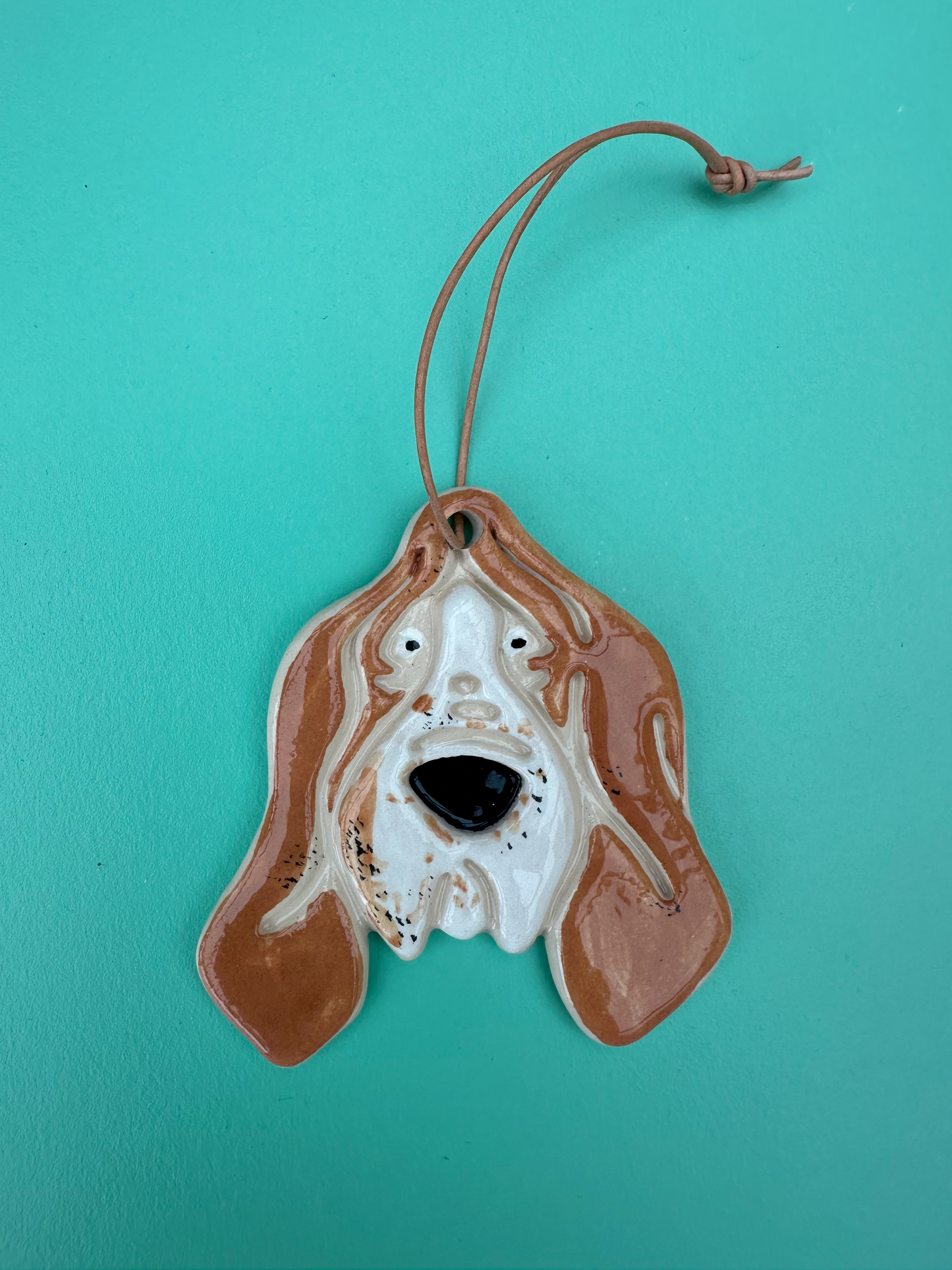Basset hound - flere varianter