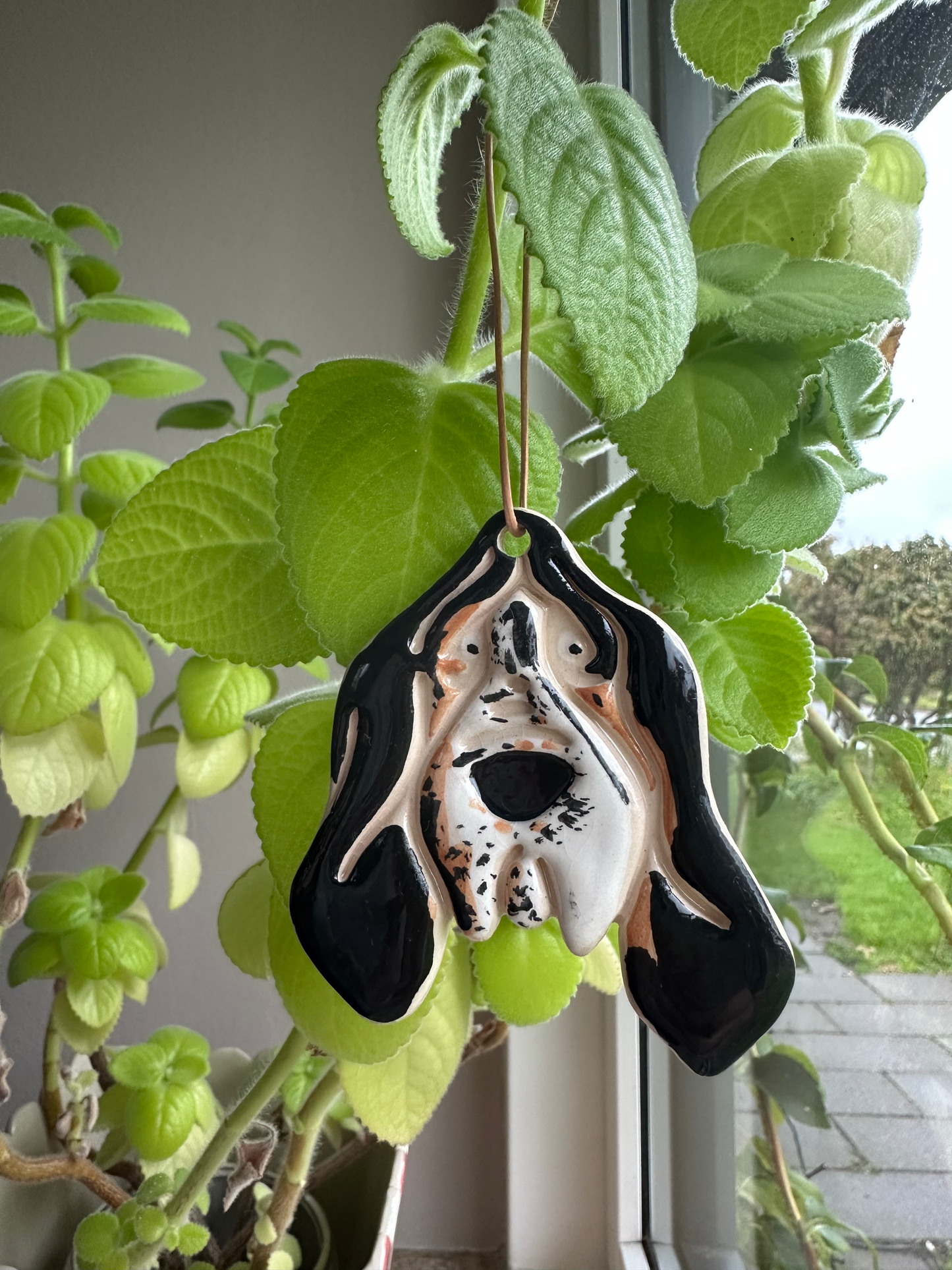 Basset hound - flere varianter